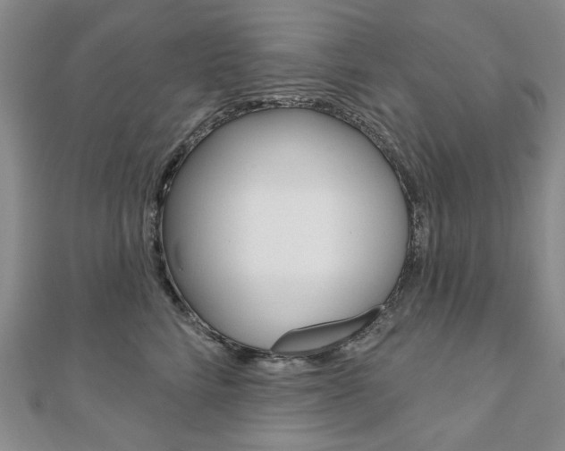 X0000110880712200906180945