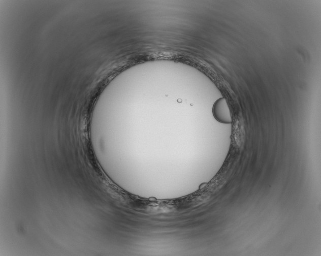X0000110880714200906180945