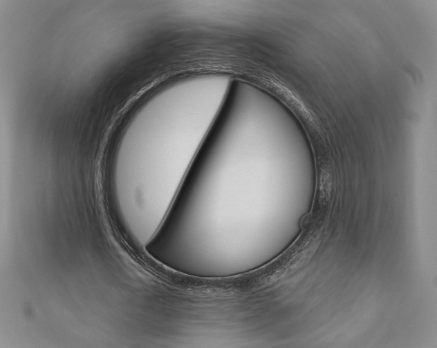 X0000110880722200906180944
