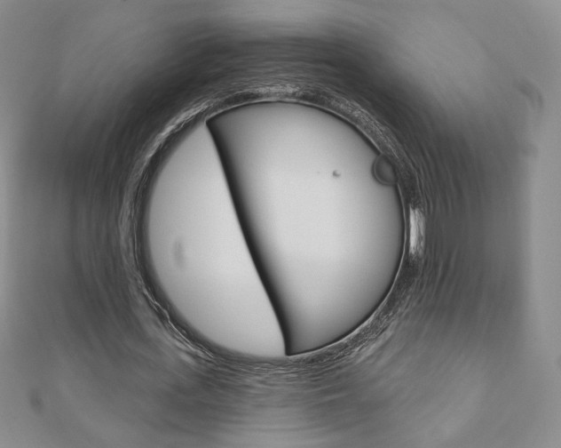 X0000110880723200906180944