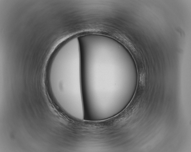 X0000110880724200906180944