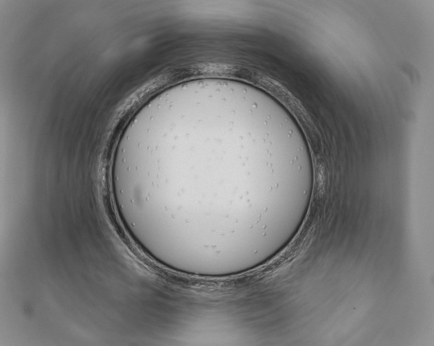 X0000110880725200906180944