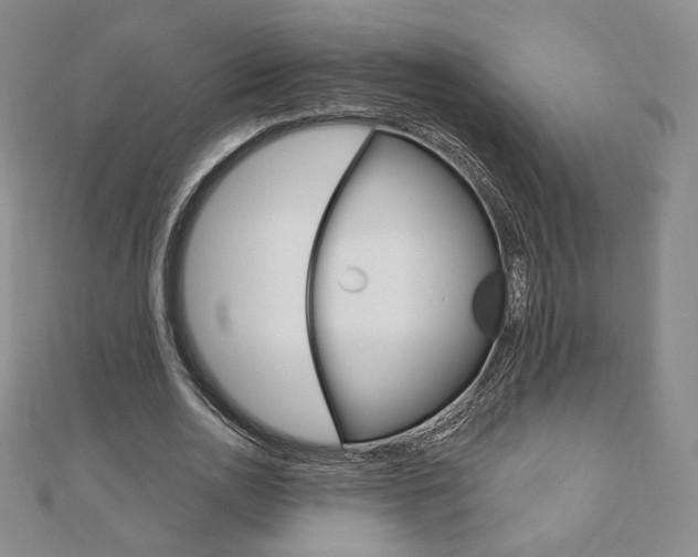 X0000110880726200906180944