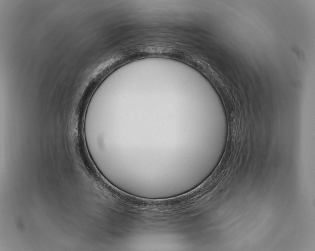 X0000110880727200906180944