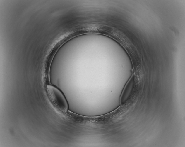 X0000110880728200906180944