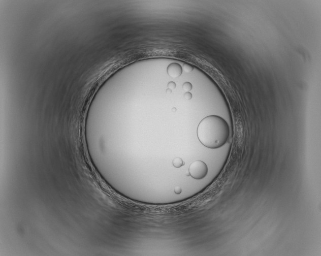 X0000110880729200906180944