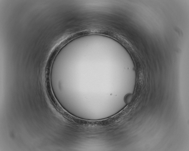 X0000110880730200906180944