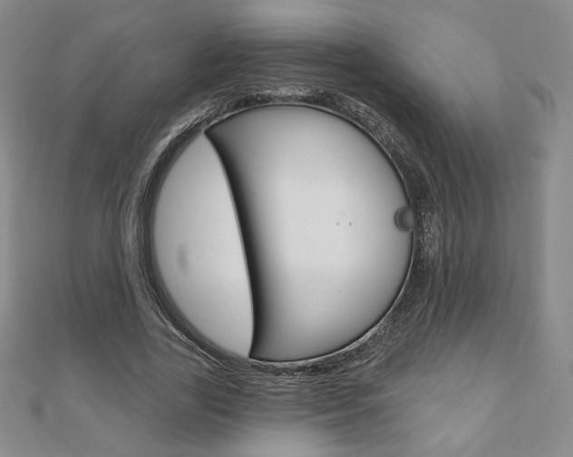 X0000110880731200906180944