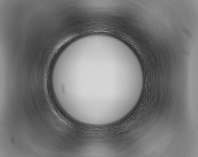 X0000110880732200906180944
