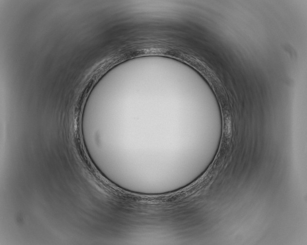 X0000110880733200906180944
