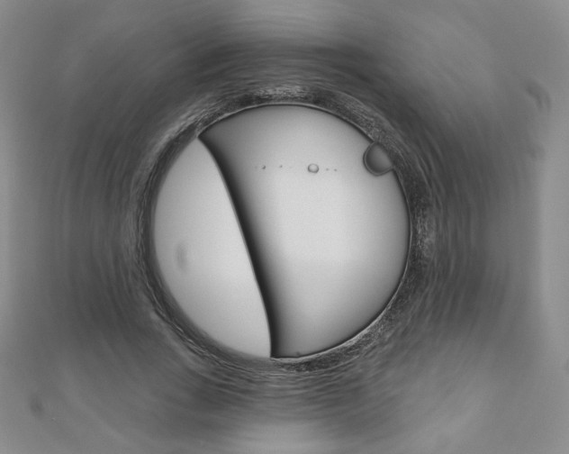 X0000110880735200906180944