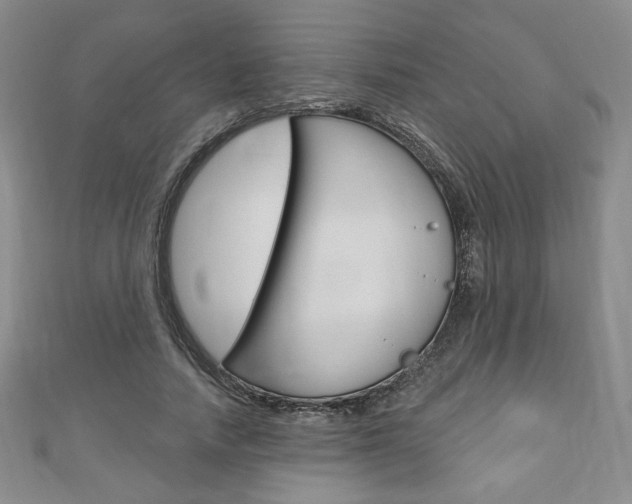 X0000110880738200906180944