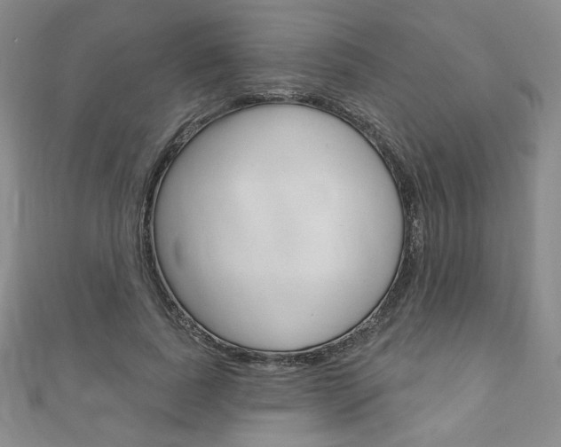 X0000110880739200906180944