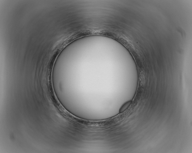 X0000110880740200906180945