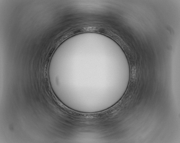 X0000110880741200906180945