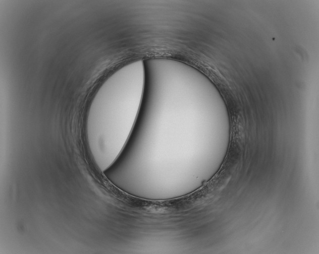 X0000110880742200906180945