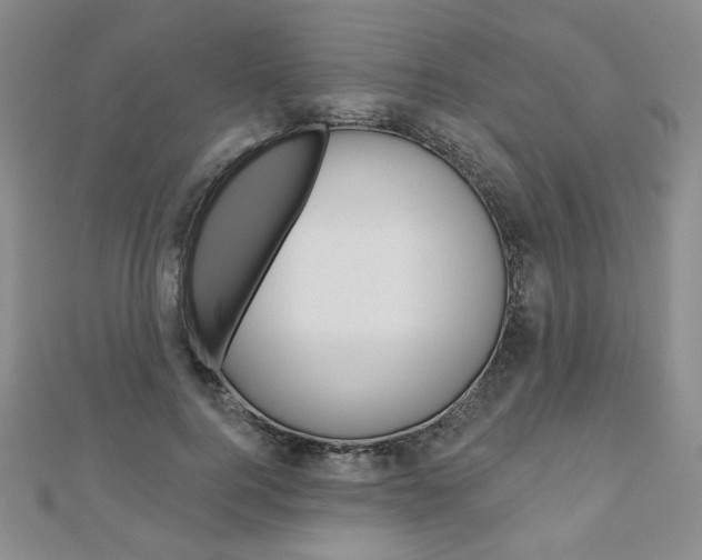 X0000110880744200906180945