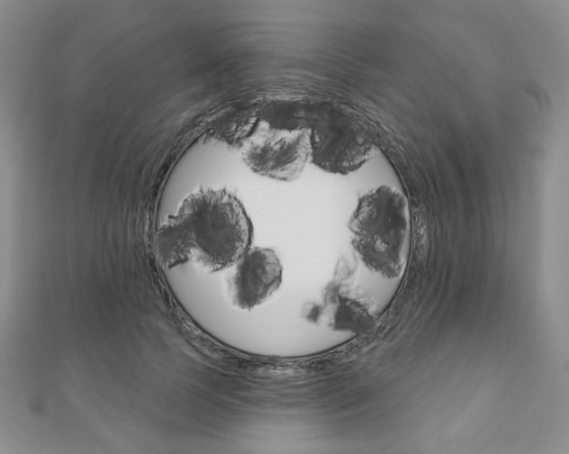 X0000110880745200906180945