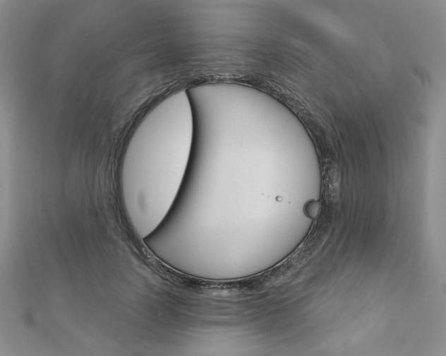 X0000110880746200906180945