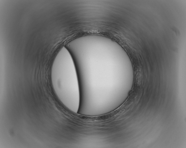 X0000110880747200906180945