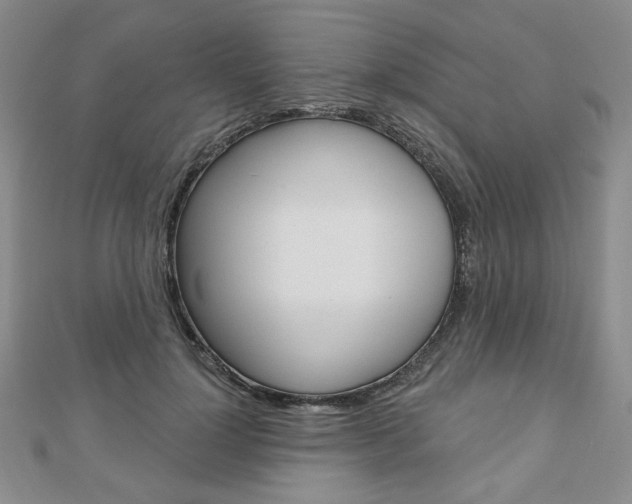 X0000110880748200906180945
