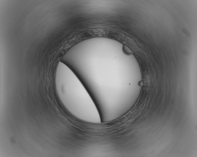 X0000110880751200906180945