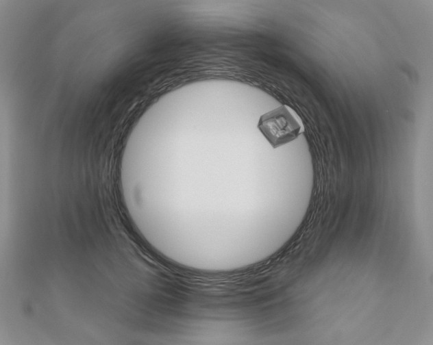 X0000110880752200906180945