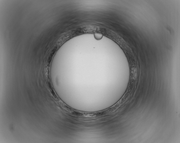 X0000110880753200906180945