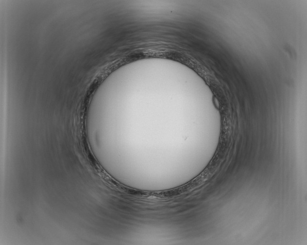 X0000110880755200906180945