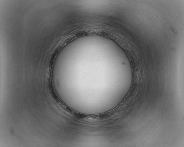 X0000110880756200906180945