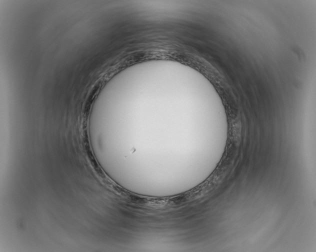 X0000110880757200906180945