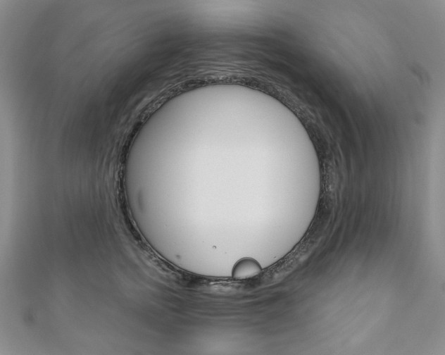 X0000110880758200906180945