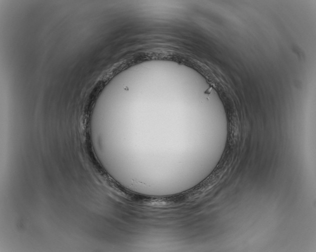 X0000110880759200906180945