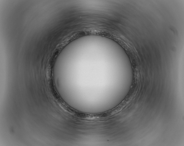 X0000110880760200906180945