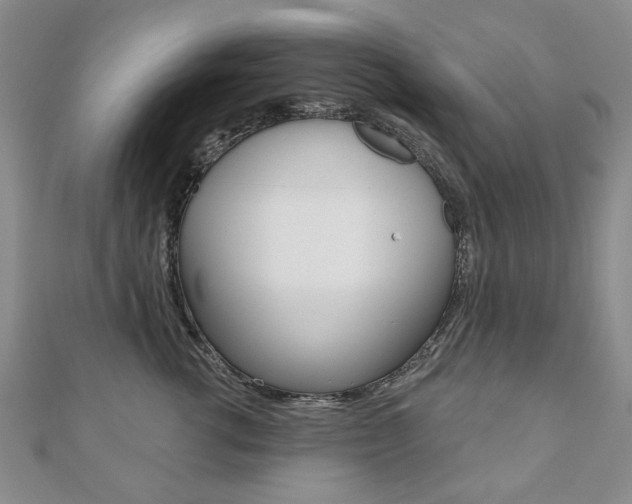 X0000110880762200906180945