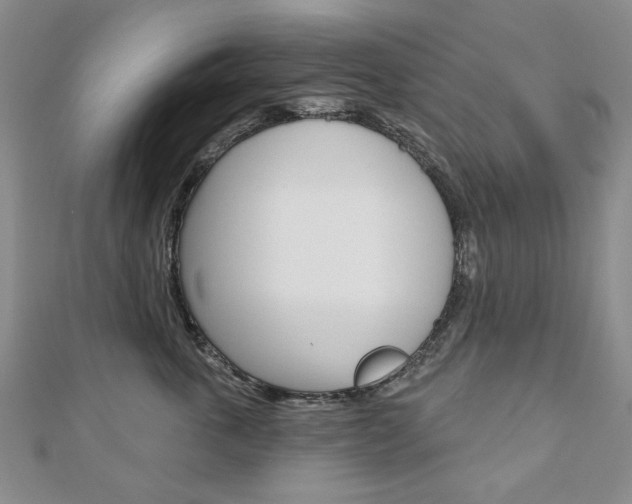 X0000110880763200906180945