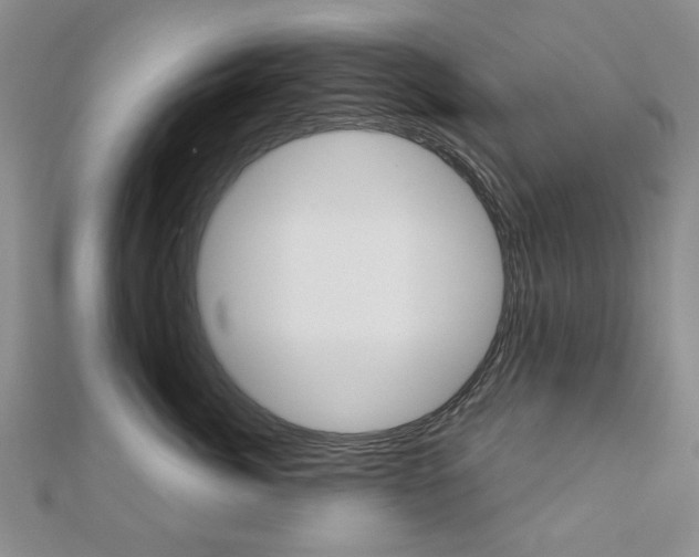 X0000110880764200906180945