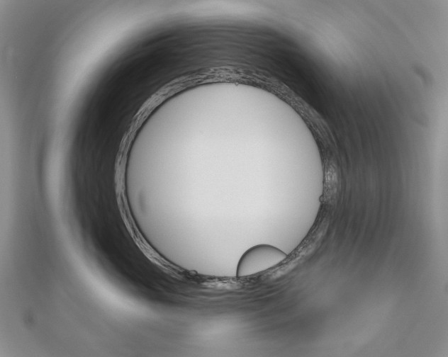 X0000110880765200906180945