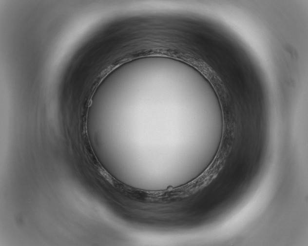 X0000110880766200906180945