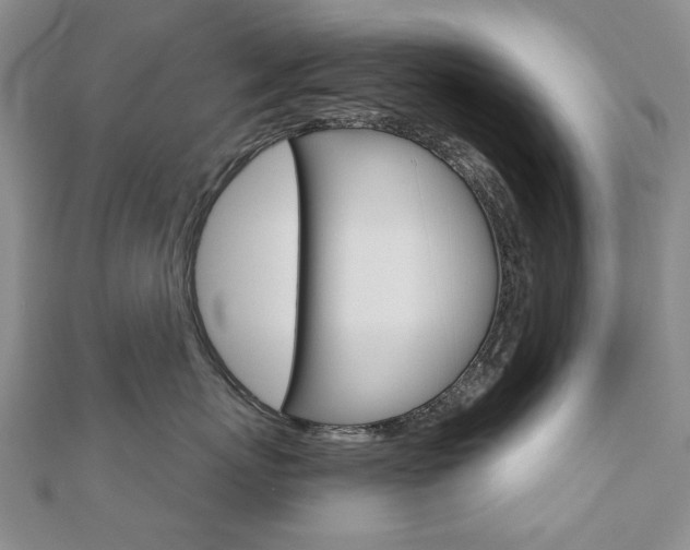 X0000110880767200906180945
