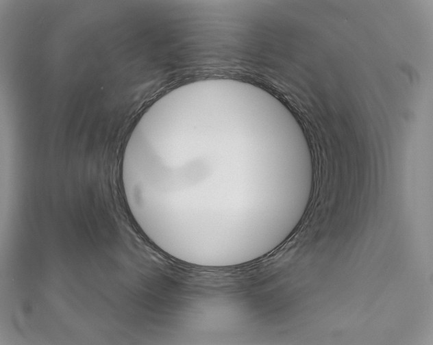 X0000110880768200906180945