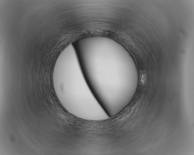 X0000110880771200906180944