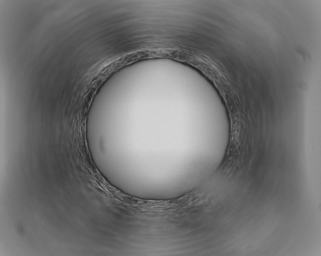 X0000110880773200906180944