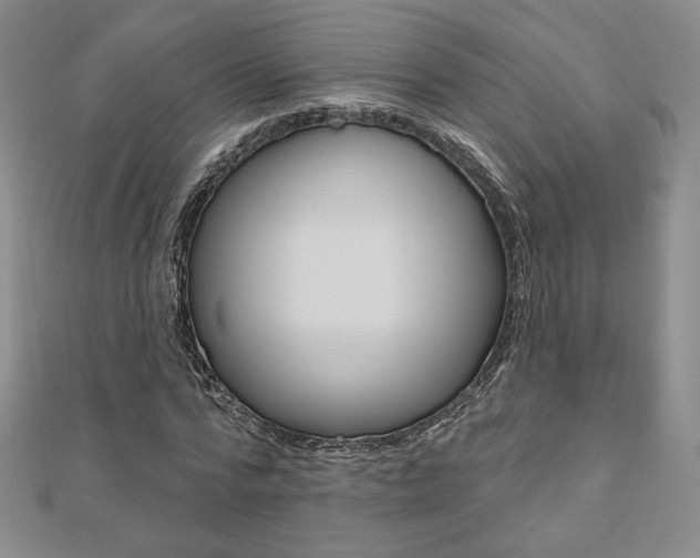 X0000110880776200906180944