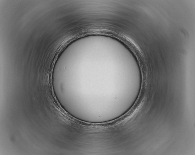 X0000110880777200906180944