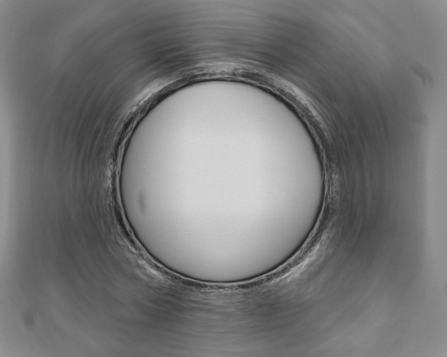 X0000110880778200906180944