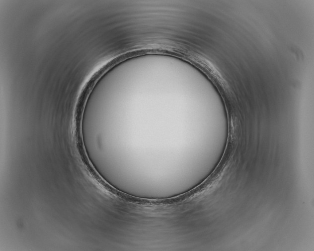 X0000110880780200906180944