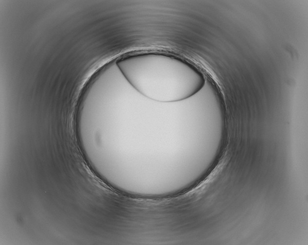 X0000110880781200906180944