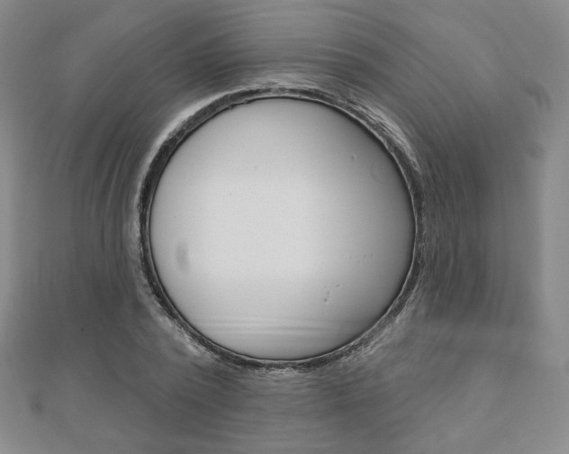 X0000110880784200906180944