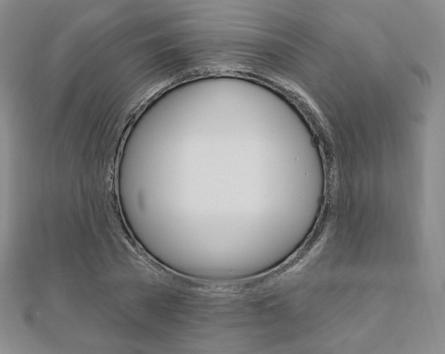 X0000110880785200906180944